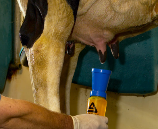 Neogen 218113 Ambic Returning Dairy Teat Dip Cup